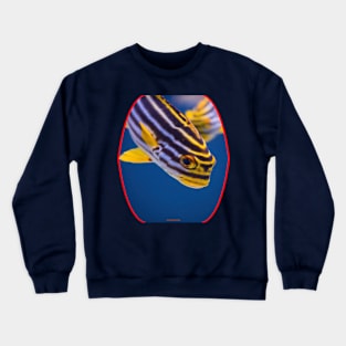 fish, cute fish, fish colorful, fish coral, beatiful fish Crewneck Sweatshirt